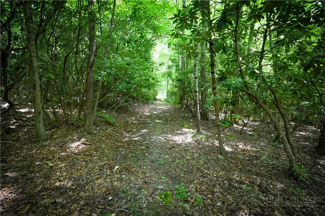 Lot 2 Gusher Knob Road, Ingalls, NC 28657 - #1