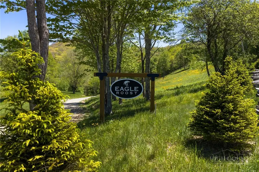 Lot 1 Roost Lane, Banner Elk, NC 28607 - #2