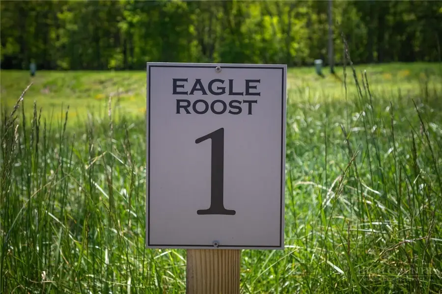 Lot 1 Roost Lane, Banner Elk, NC 28607 - #3