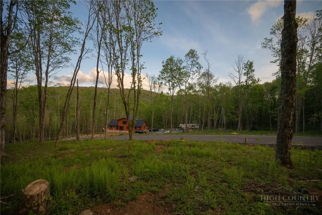 Lot 8 Timberwood Trail, Newland, NC 28657 - #1