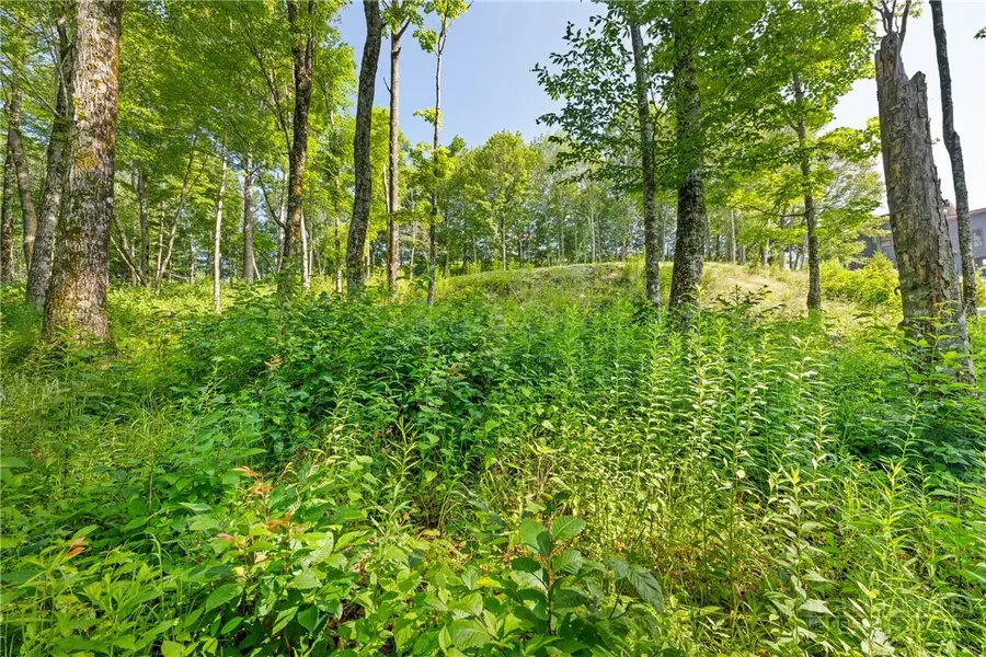 Lot 39 Skycamp Trail, Banner Elk, NC 28604 - #2