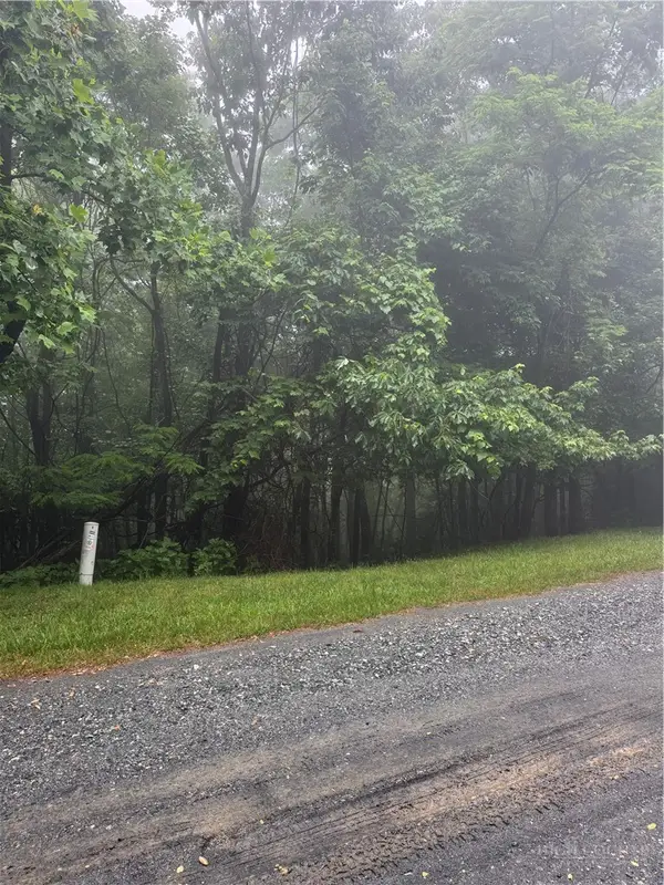 tbd Wildcat Estates Drive, Deep Gap, NC 28618