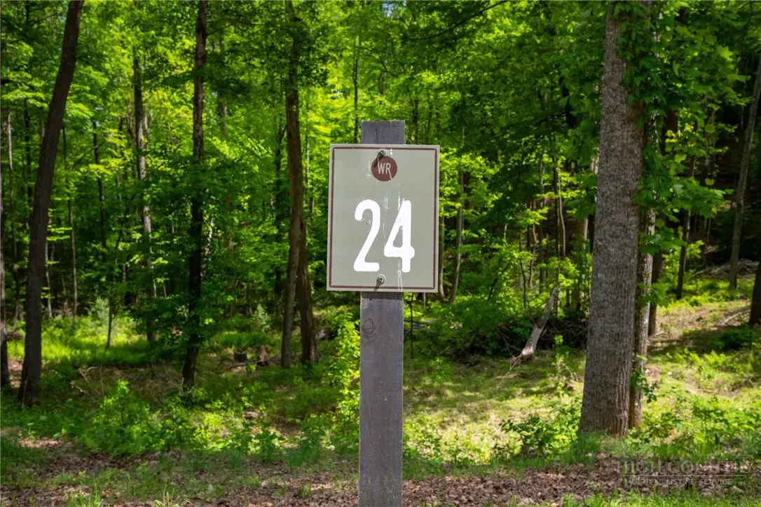 24 Wilderness Reserve Parkway, Deep Gap, NC 28618 - #1