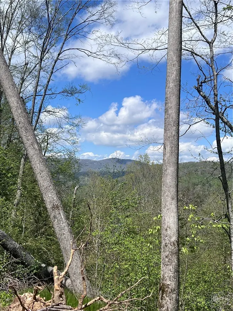 TBD Cross Park Drive, Banner Elk, NC 28604 - #1