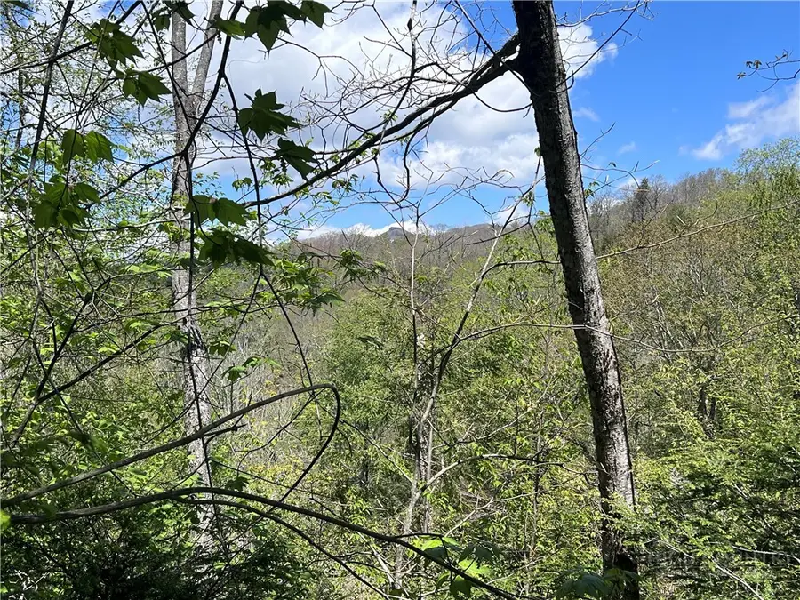 TBD Cross Park Drive, Banner Elk, NC 28604 - #2
