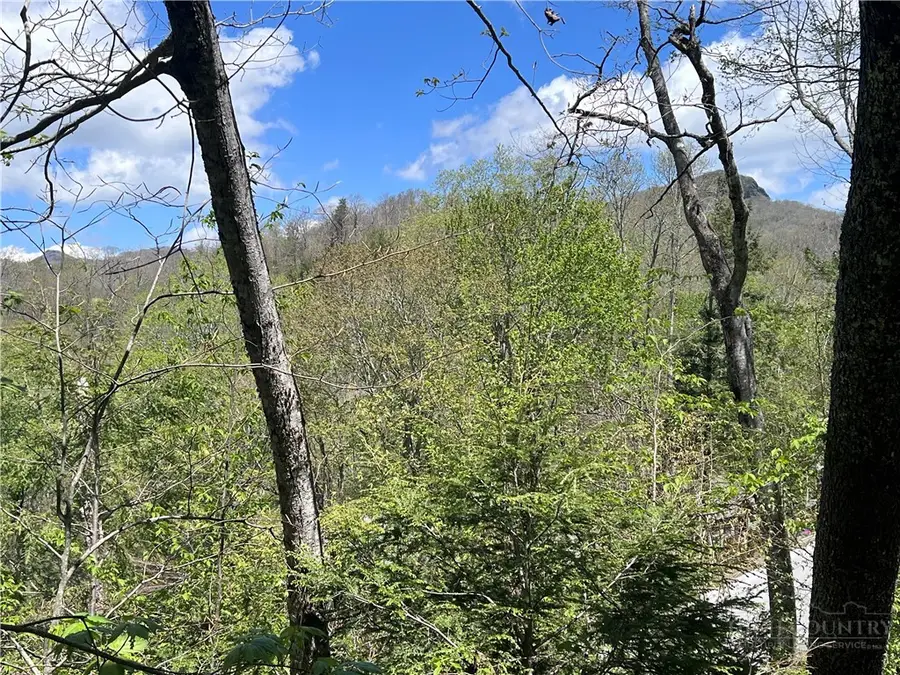 TBD Cross Park Drive, Banner Elk, NC 28604 - #3