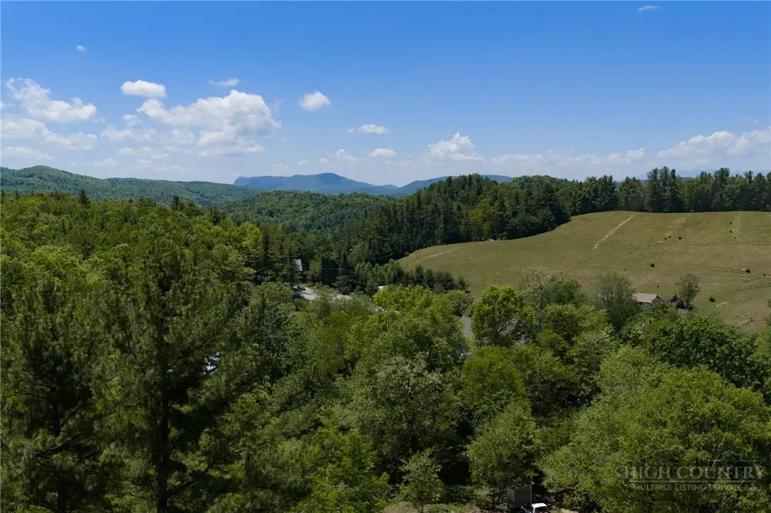 TBD Taylor Hughes Lane, Newland, NC 28657 - #1