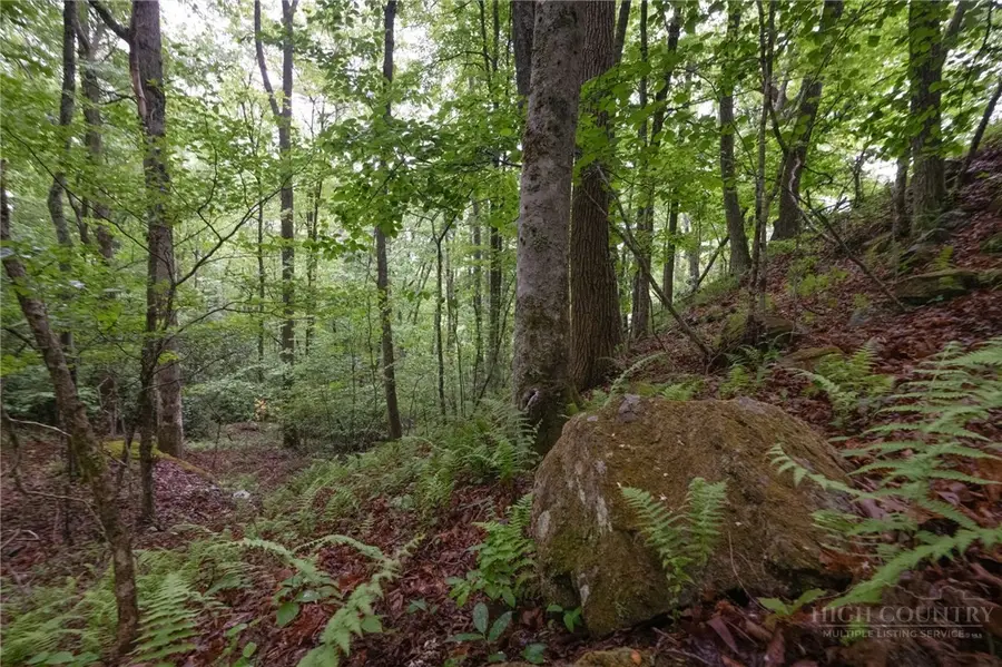 TBD Taylor Hughes Lane, Newland, NC 28657 - #3