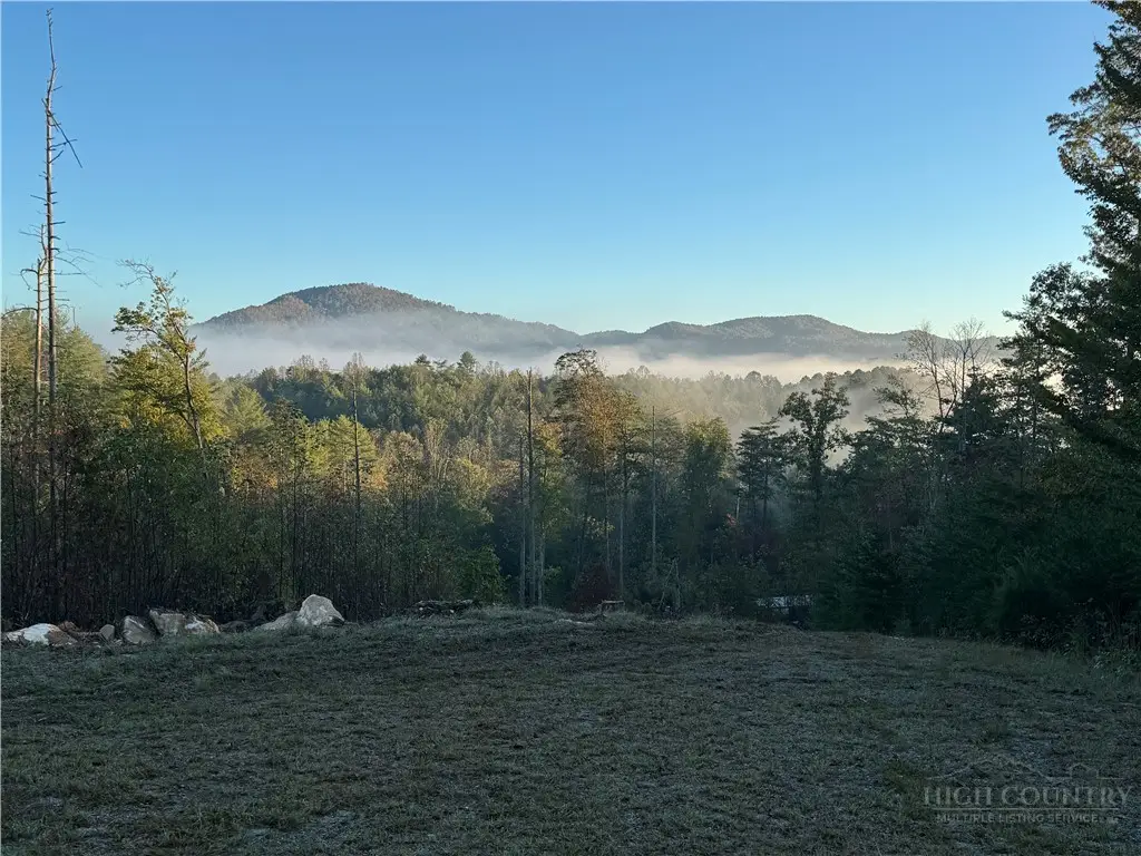 4229 Grandin Road, Lenoir, NC 28645 - #1