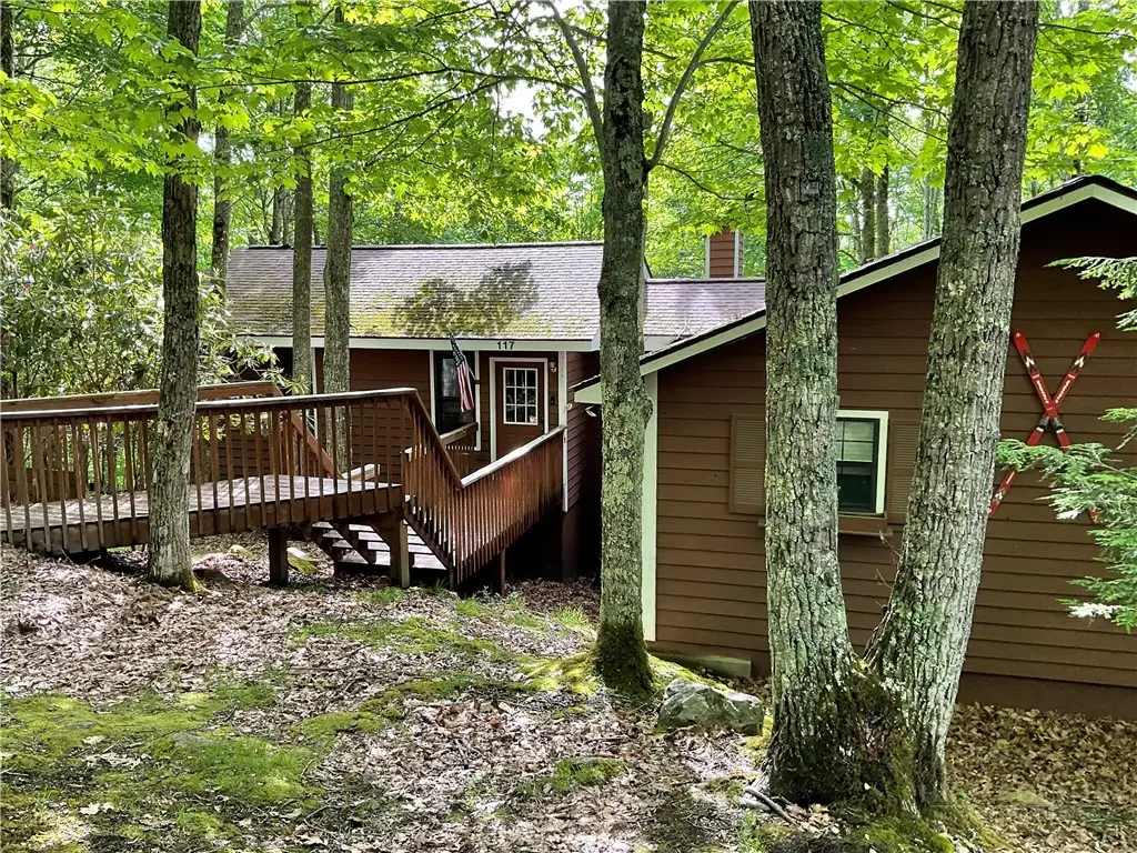 117 Rhododendron Drive, Beech Mountain, NC 28604 - #1
