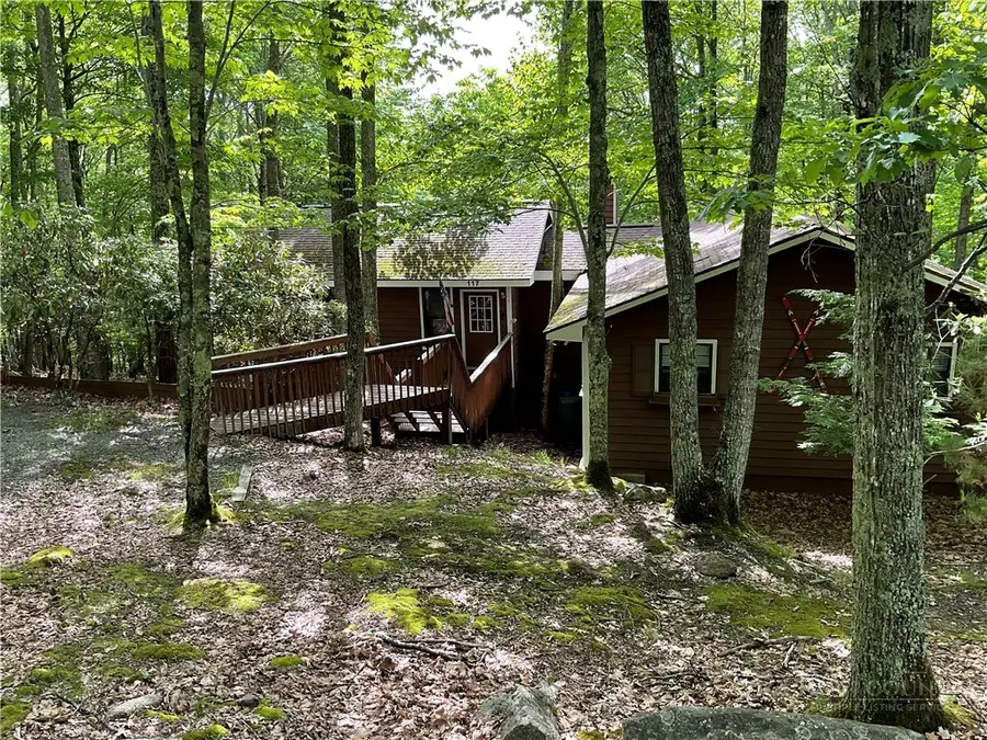 117 Rhododendron Drive, Beech Mountain, NC 28604 - #3