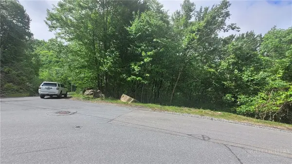 425 Pinnacle Ridge Road, Beech Mountain, NC 28604