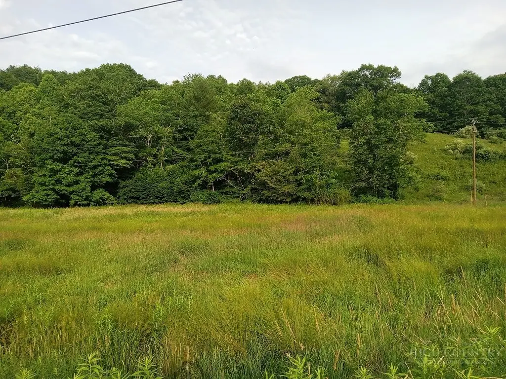 3323 Rugby Road, Mouth Of Wilson, VA 24363 - #1