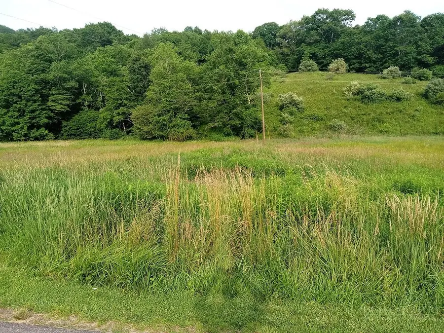 3323 Rugby Road, Mouth Of Wilson, VA 24363 - #3