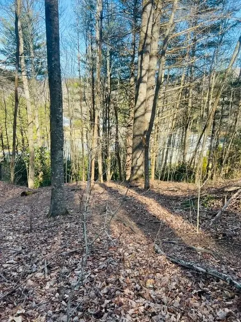 TBD Skyview Lane, Foscoe, NC 28607 - #1