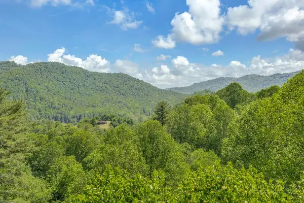 Lot 36 Daisy Ridge Road, Banner Elk, NC 28604