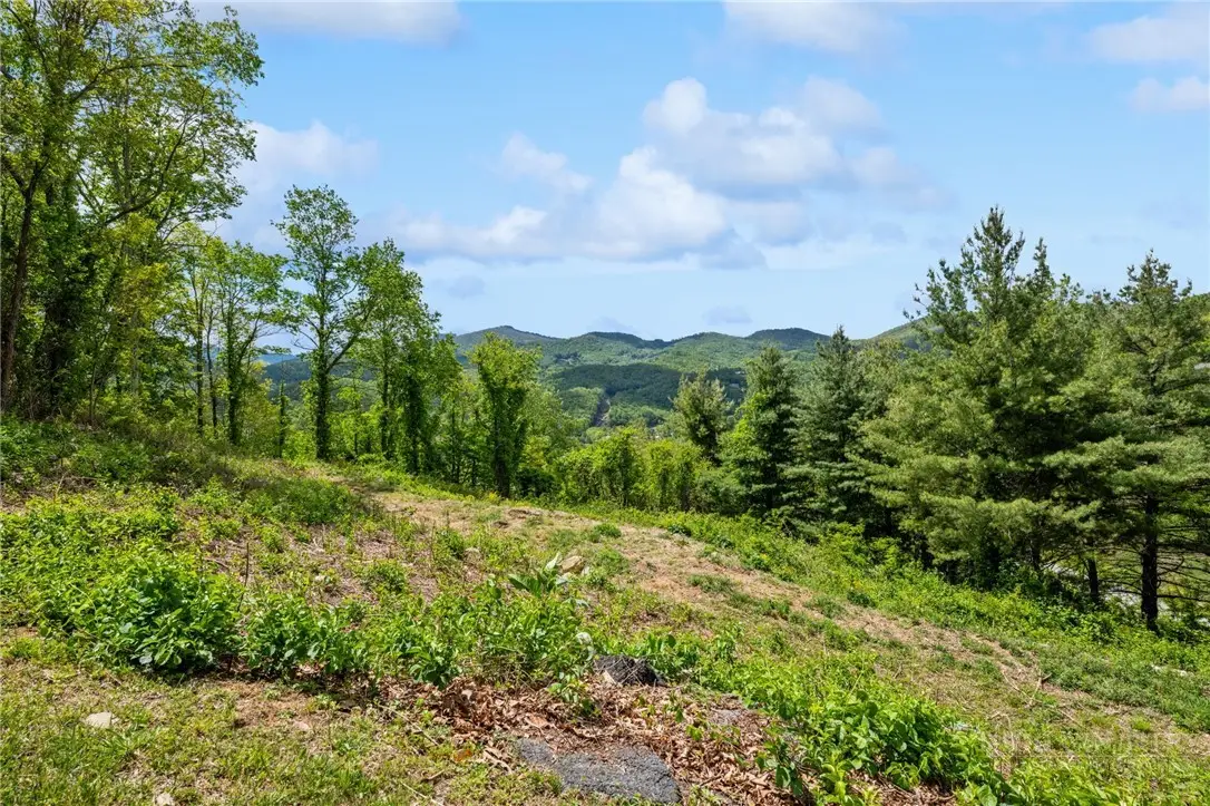 Lot 26 Silver Fox Lane, Banner Elk, NC 28604 - #1