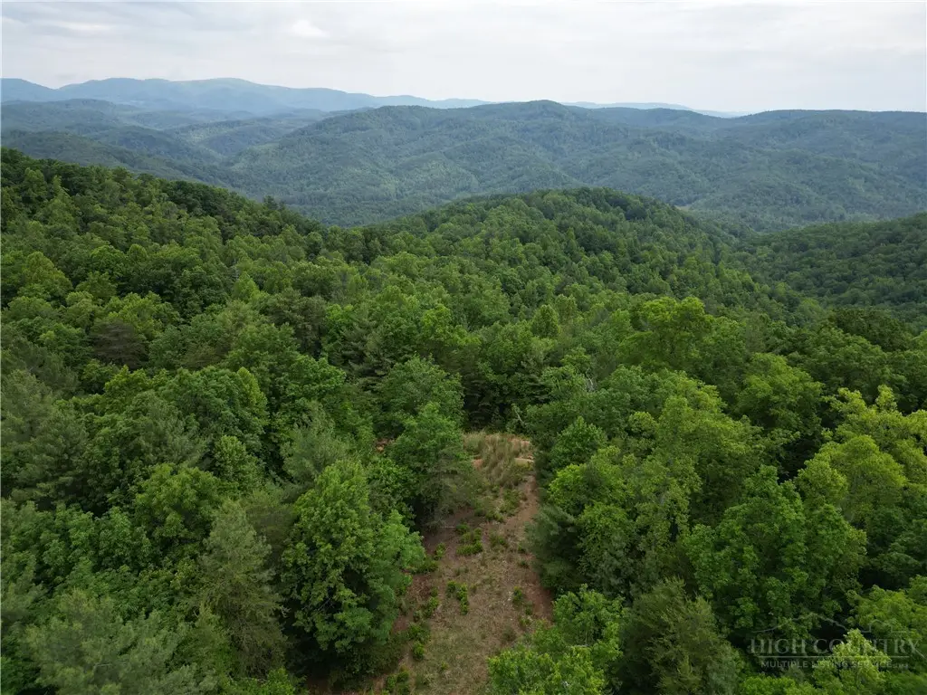 22 Elk Ridge Road, Ferguson, NC 28624 - #1