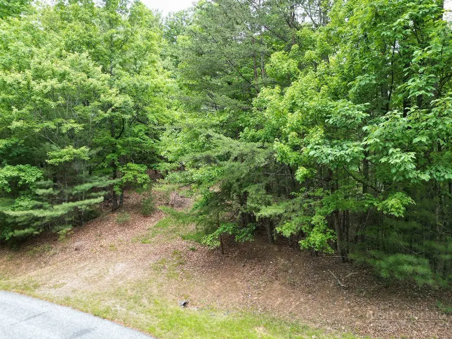 22 Elk Ridge Road, Ferguson, NC 28624 - #3