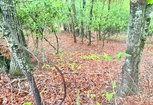 Lot 61 Sams Drive And/or James Street, Fleetwood, NC 28626