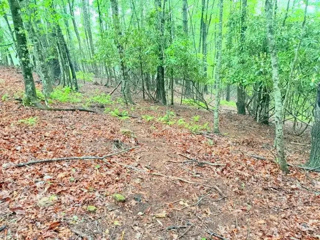 Lot 61 Sams Drive And/or James Street, Fleetwood, NC 28626 - #2