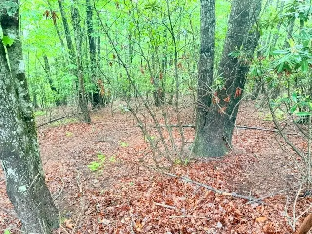 Lot 61 Sams Drive And/or James Street, Fleetwood, NC 28626 - #3