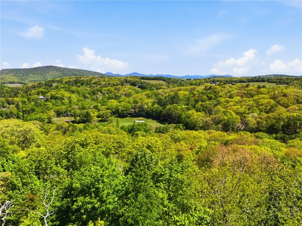 TBD Blackberry Lane, Blowing Rock, NC 28605 - #1