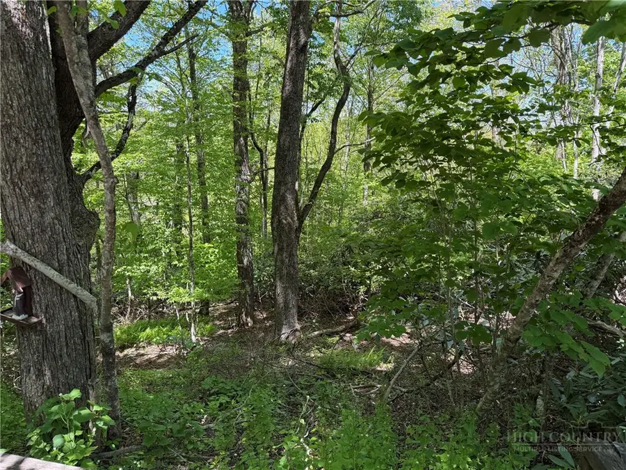 TBD Blackberry Lane, Blowing Rock, NC 28605 - #2
