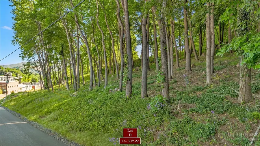 TBD Spruce Street, West Jefferson, NC 28694 - #2