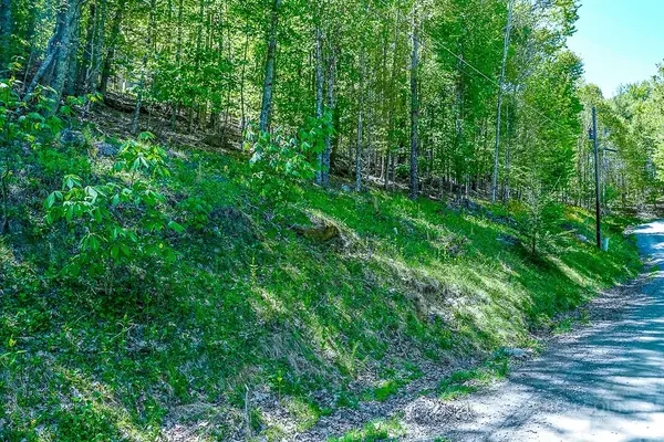 241 Lakeledge Road, Beech Mountain, NC 28604