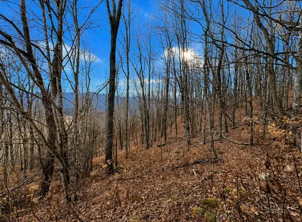 TBD Wakeman Way, Banner Elk, NC 28604