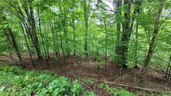 130 E Blueberry Lane, Beech Mountain, NC 28604