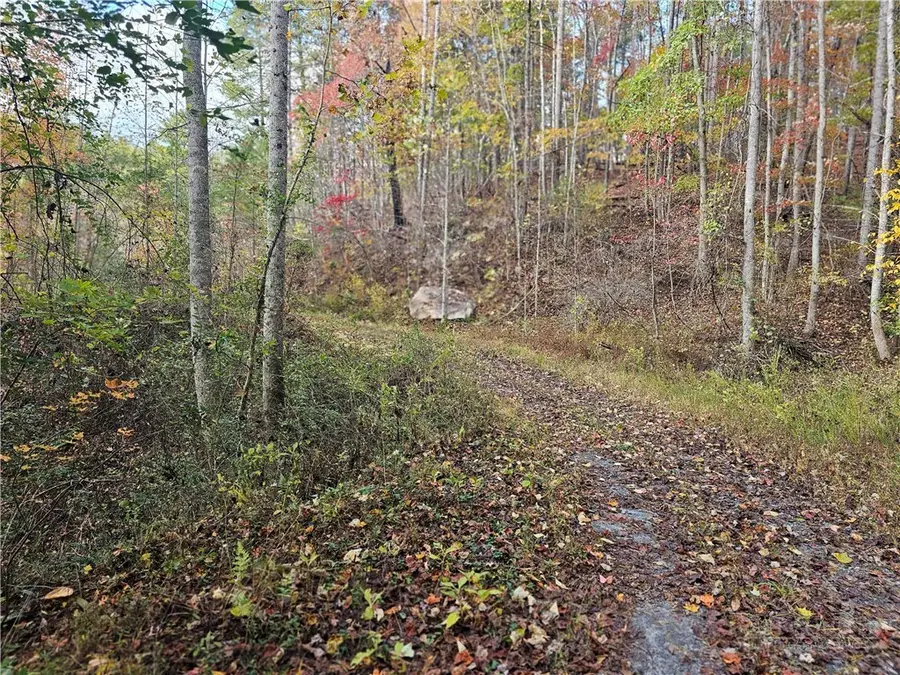 Lot 62 Bent Bow Drive, Johns River, NC 28645 - #3