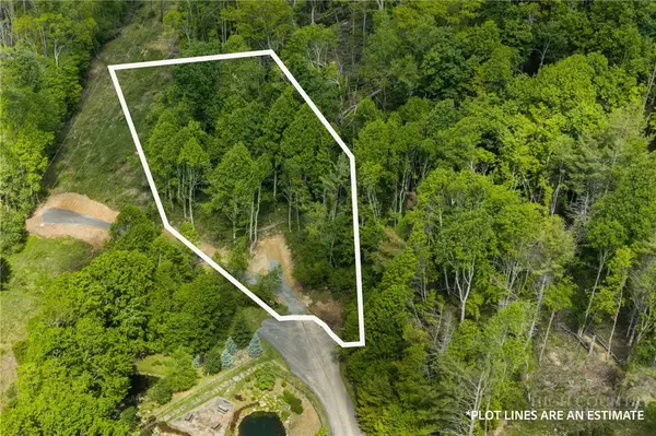 Lot 44 W Silver Springs Drive, Banner Elk, NC 28604