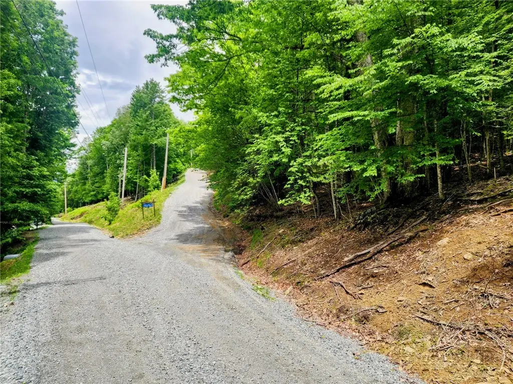 136 Locust Ridge Road, Beech Mountain, NC 28604 - #1