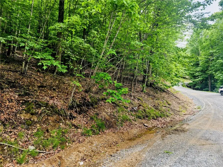 136 Locust Ridge Road, Beech Mountain, NC 28604 - #2