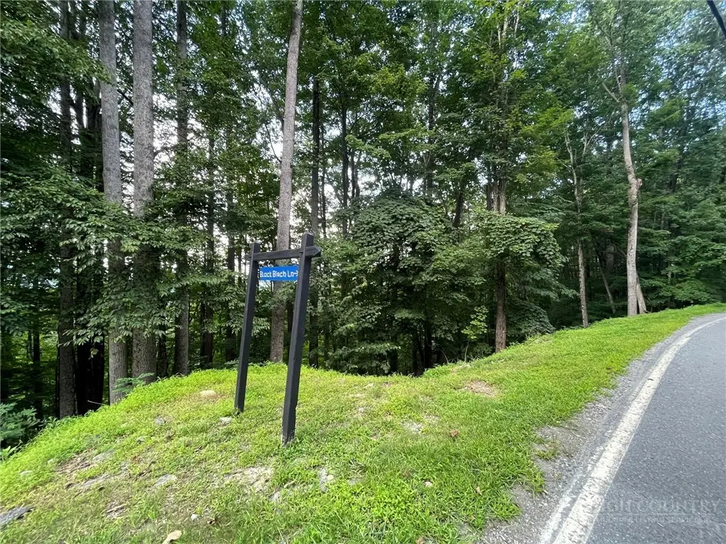 926 Pine Ridge Road, Beech Mountain, NC 28604 - #1
