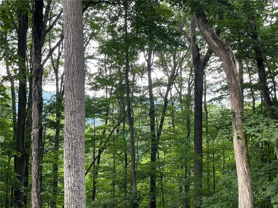 926 Pine Ridge Road, Beech Mountain, NC 28604 - #3