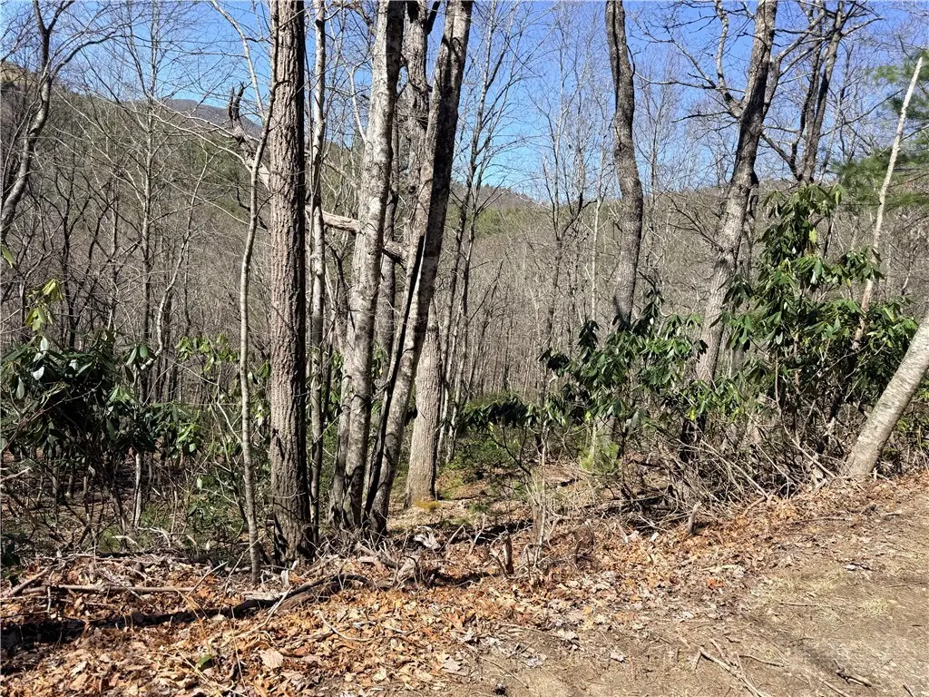 TBD Lot 19 Lost Trail, West Jefferson, NC 28694 - #1