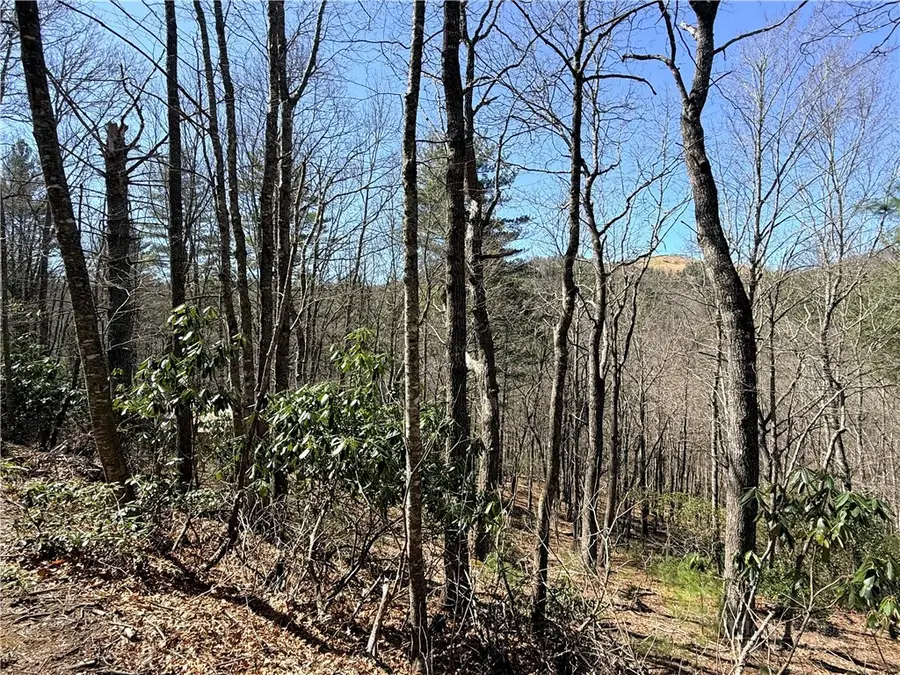 TBD Lot 19 Lost Trail, West Jefferson, NC 28694 - #2