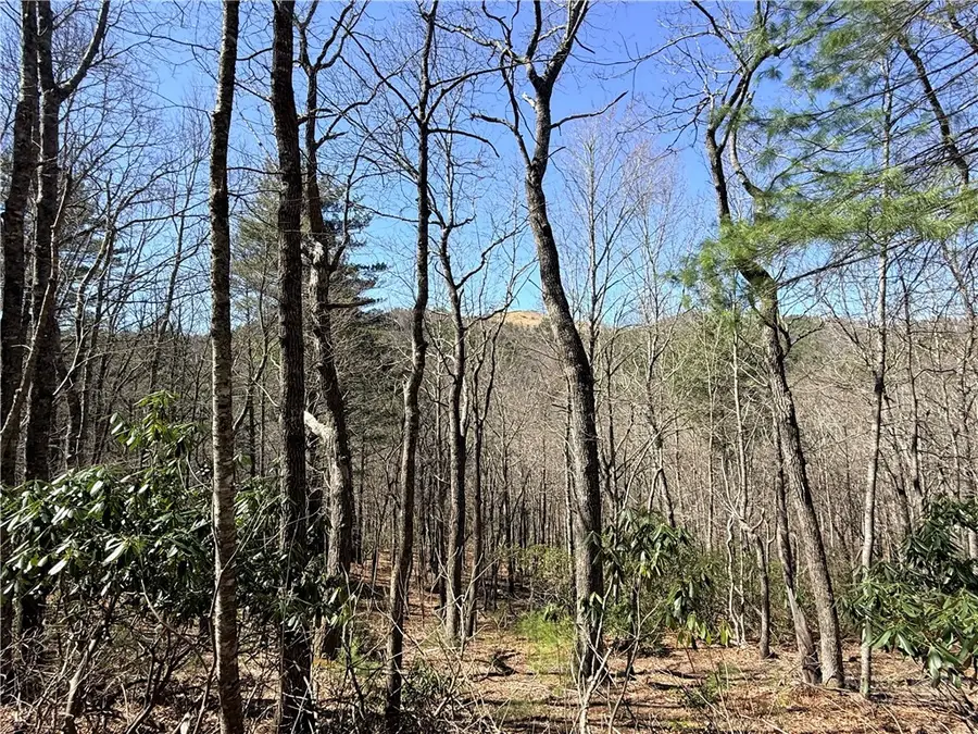 TBD Lot 19 Lost Trail, West Jefferson, NC 28694 - #3