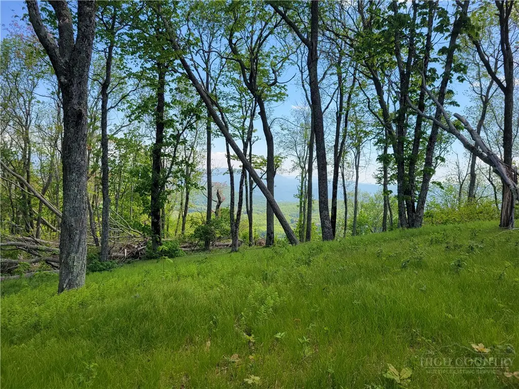Lot 60 Monteagle Subdivision, Banner Elk, NC 28604 - #1