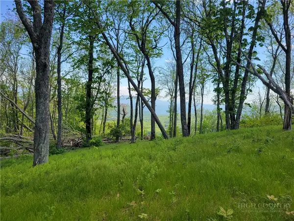 Lot 60 Monteagle Subdivision, Banner Elk, NC 28604