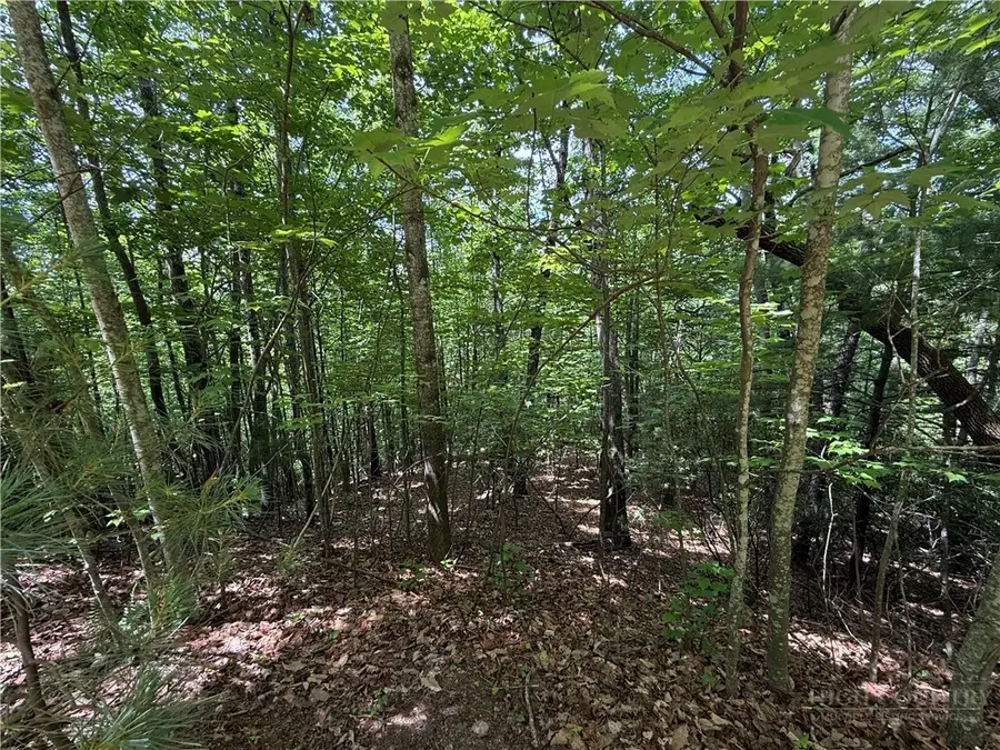 Lot 132A Warren Way Road, Purlear, NC 28665 - #2
