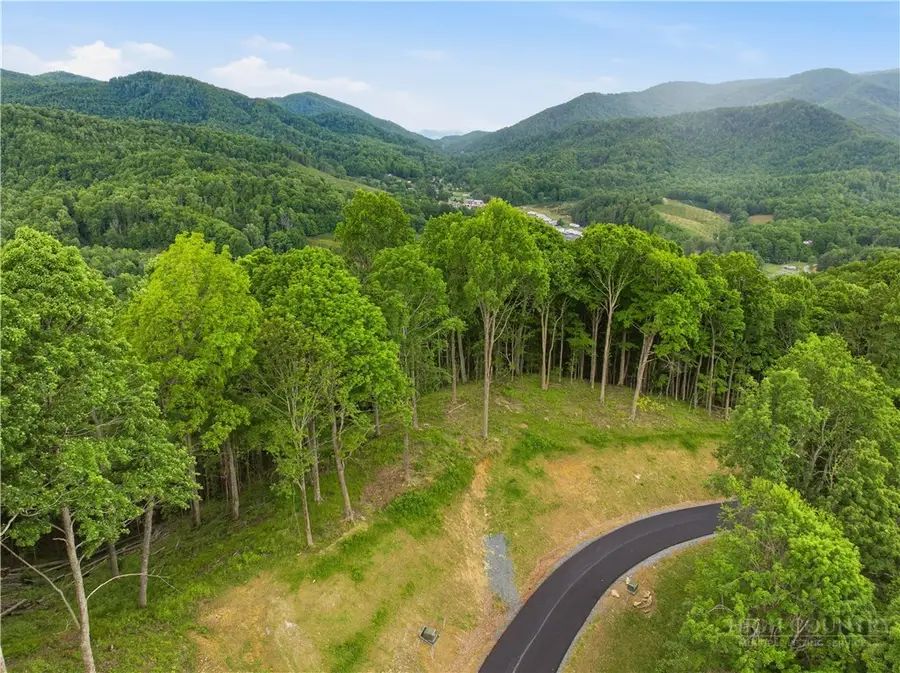 Lot 191 Raspberry Lane, Elk Park, NC 28622 - #2