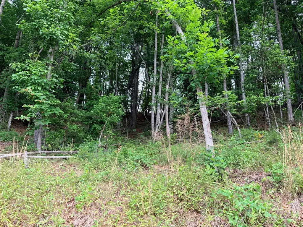 TBD N Marley Ford Road, Ferguson, NC 28624 - #1