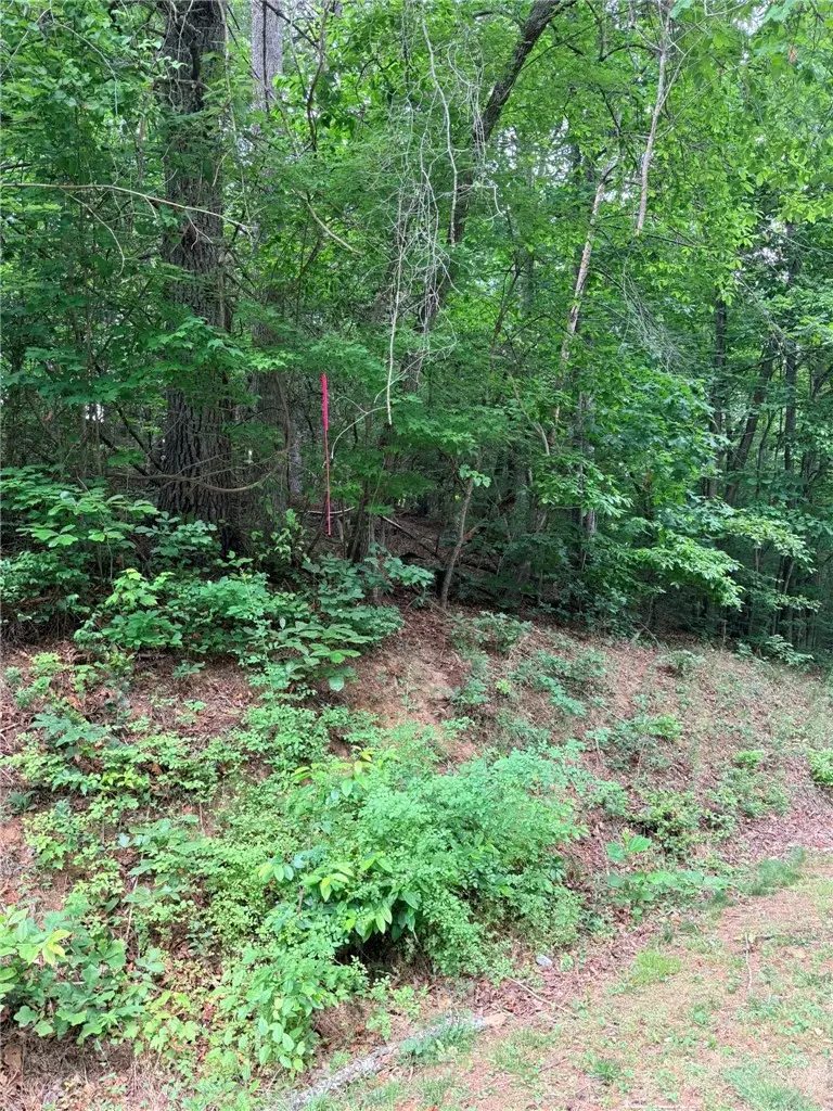 TBD N Marley Ford Road, Ferguson, NC 28624 - #2