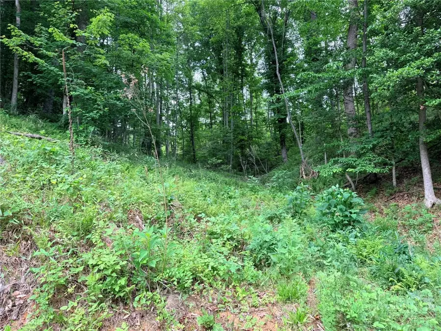 TBD N Marley Ford Road, Ferguson, NC 28624 - #3