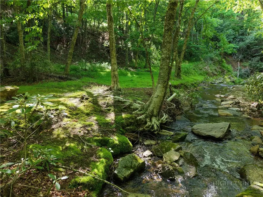 TBD Trailing Cedar Lane, Boone, NC 28607 - #2