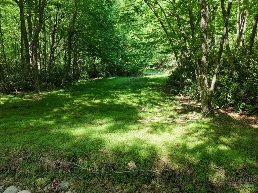 TBD Trailing Cedar Lane, Boone, NC 28607 - #3
